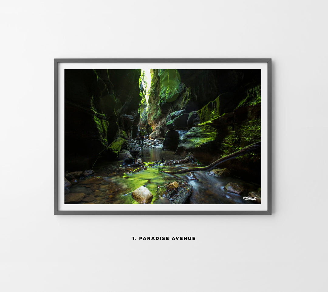 A1 Art Prints - Paradise Avenue